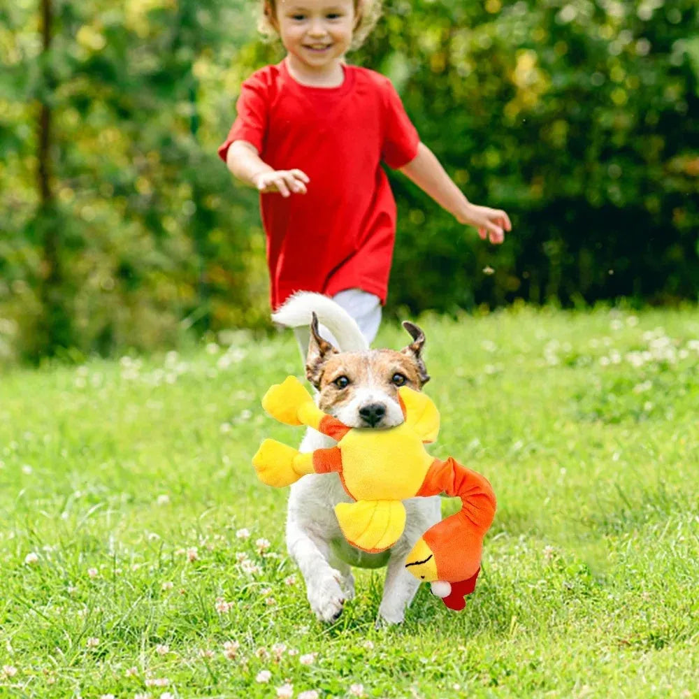 Screaming chicken sound dog toy in black, green, and orange colours with bite-resistant construction