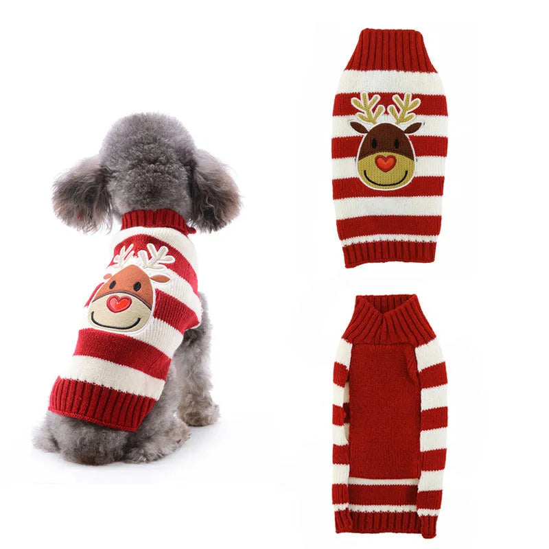 Small dog wearing a grey acrylic Christmas sweater with a red pompom detail
