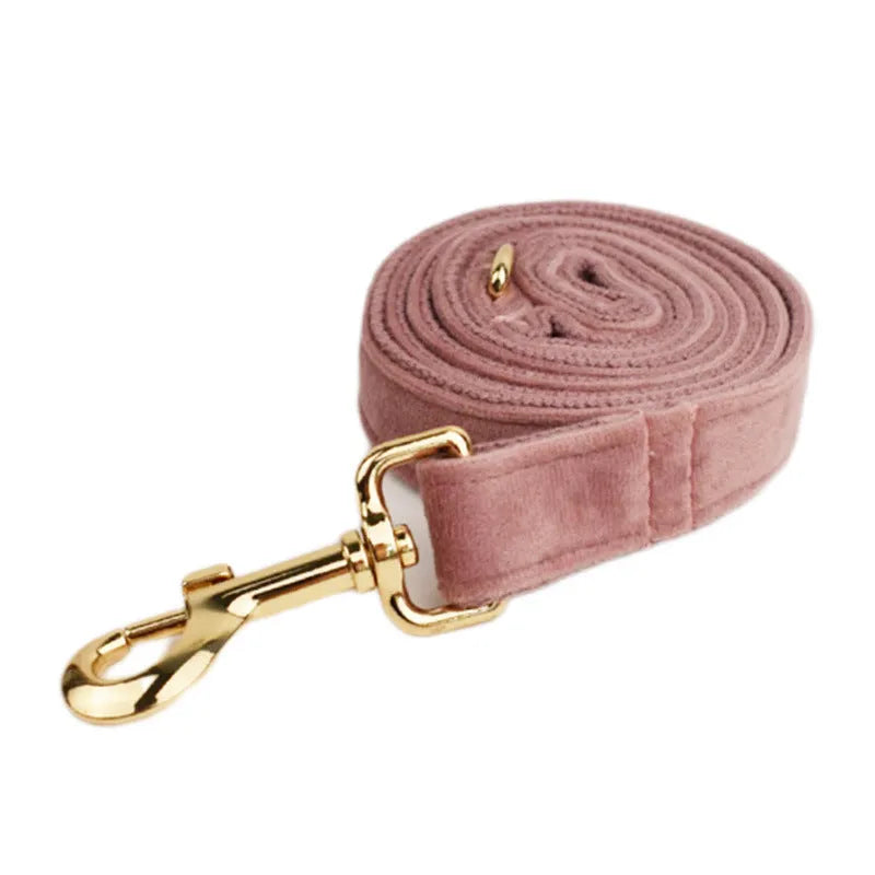 Light purple pink velvet dog collar showing soft texture and adjustable closure mechanism