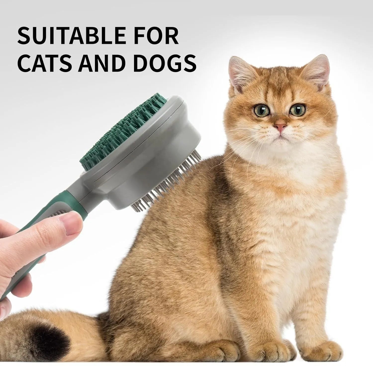 Green two-sided silicone pet brush with slicker brush and massager sides