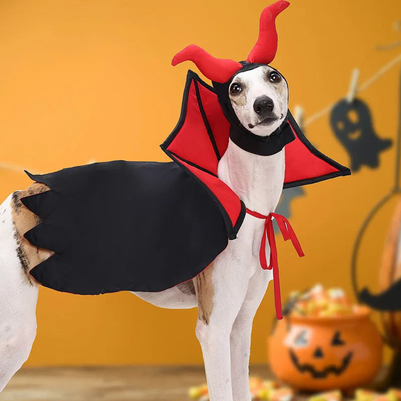 Black polyester vampire cloak and matching hat for a pet Halloween costume.