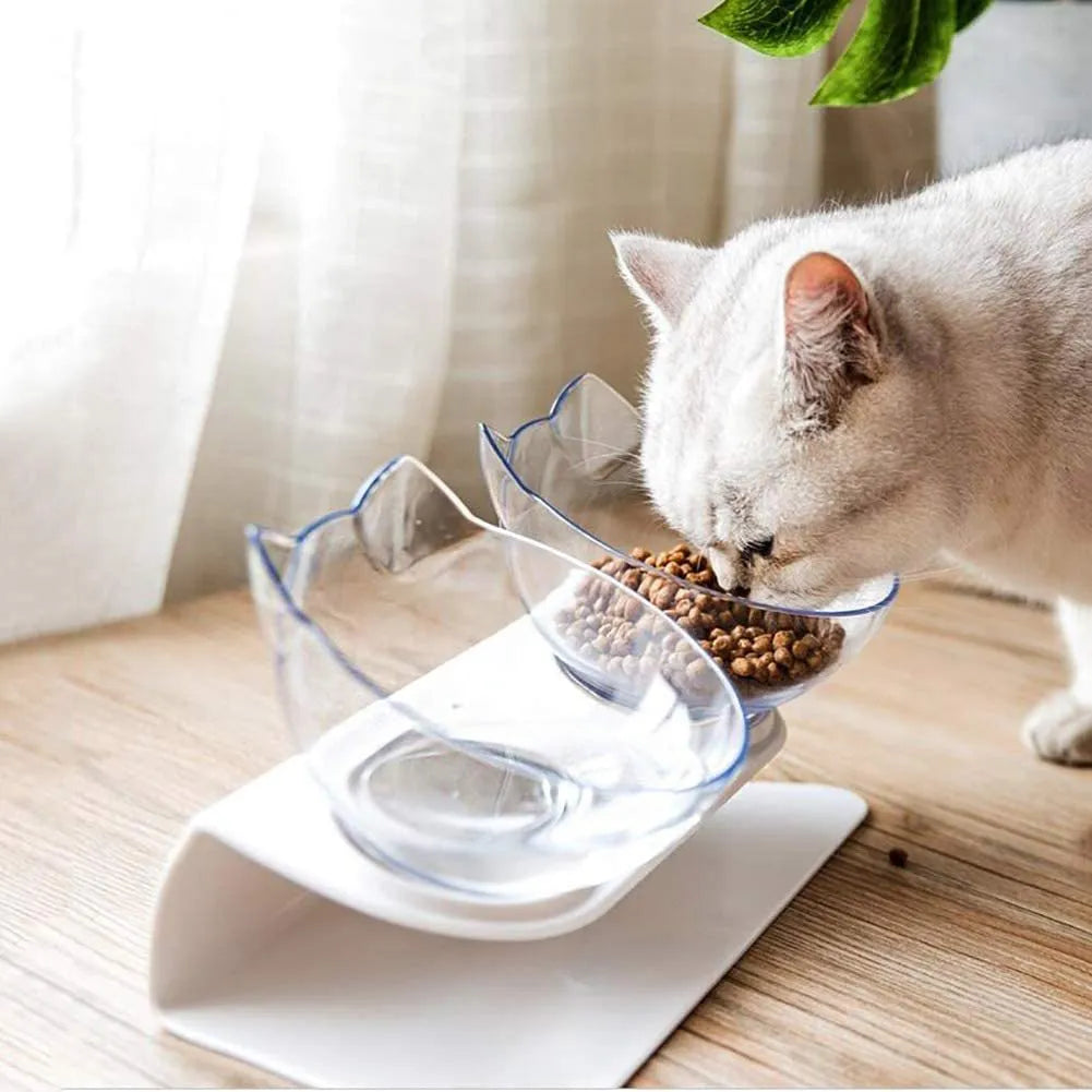Non slip double transparent cat bowl with raised stand and 15 degree tilt for pet feeding