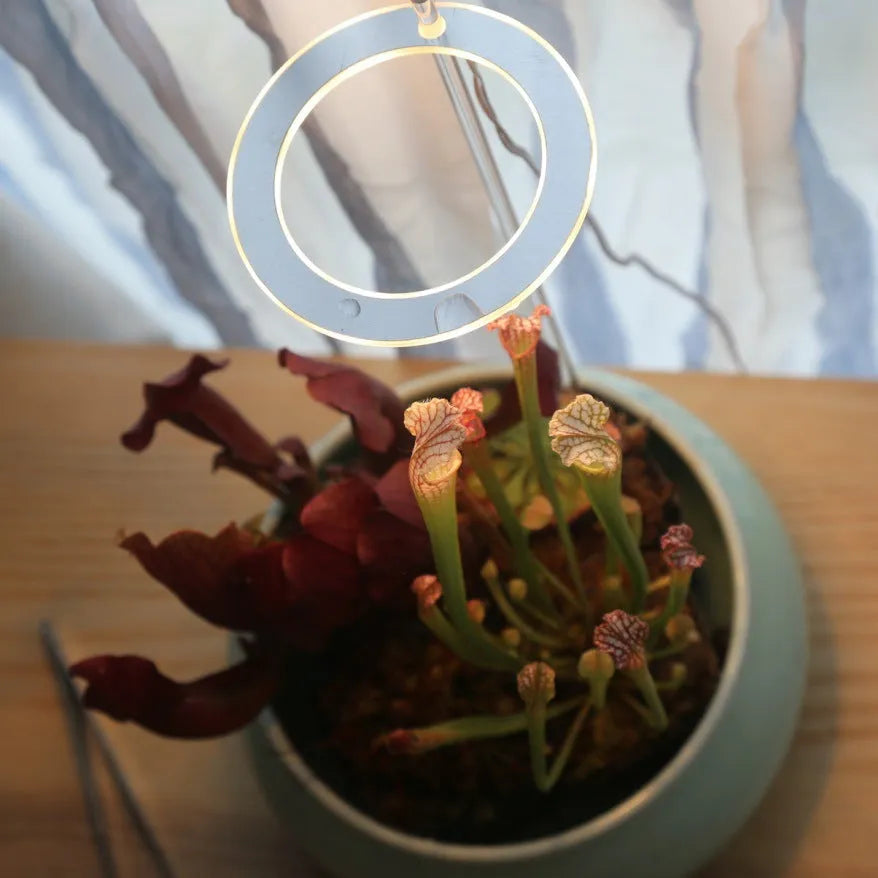 USB LED full spectrum plant grow light with acrylic stick in pink and white or yellow