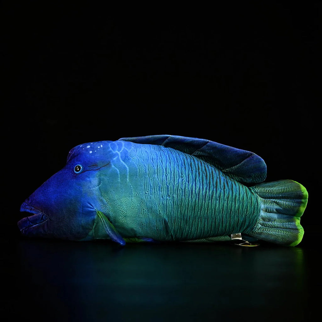 55cm green printed sunfish plush toy with wavy lips and soft plush fabric