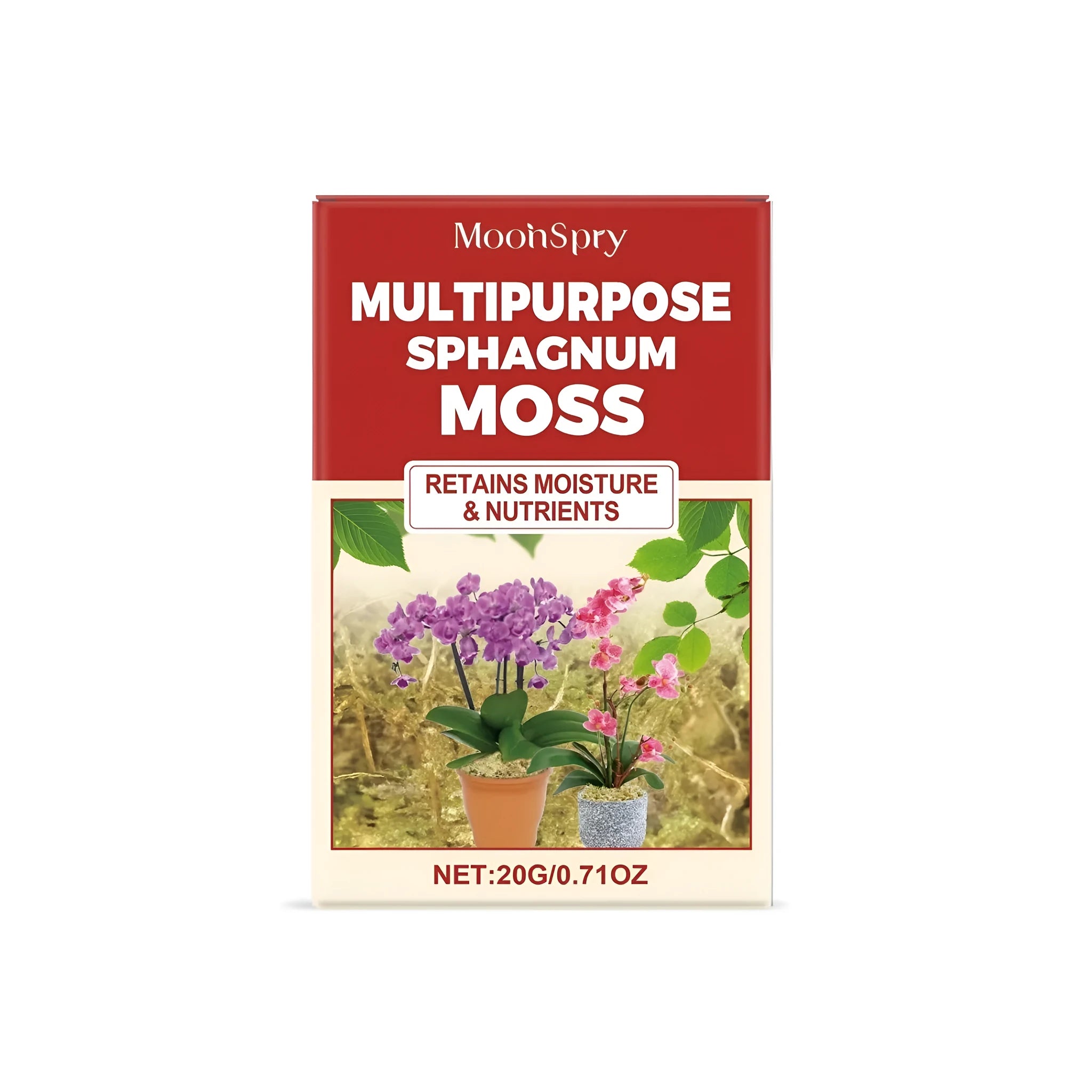 20g bag of dried sphagnum moss for terrarium and craft use.