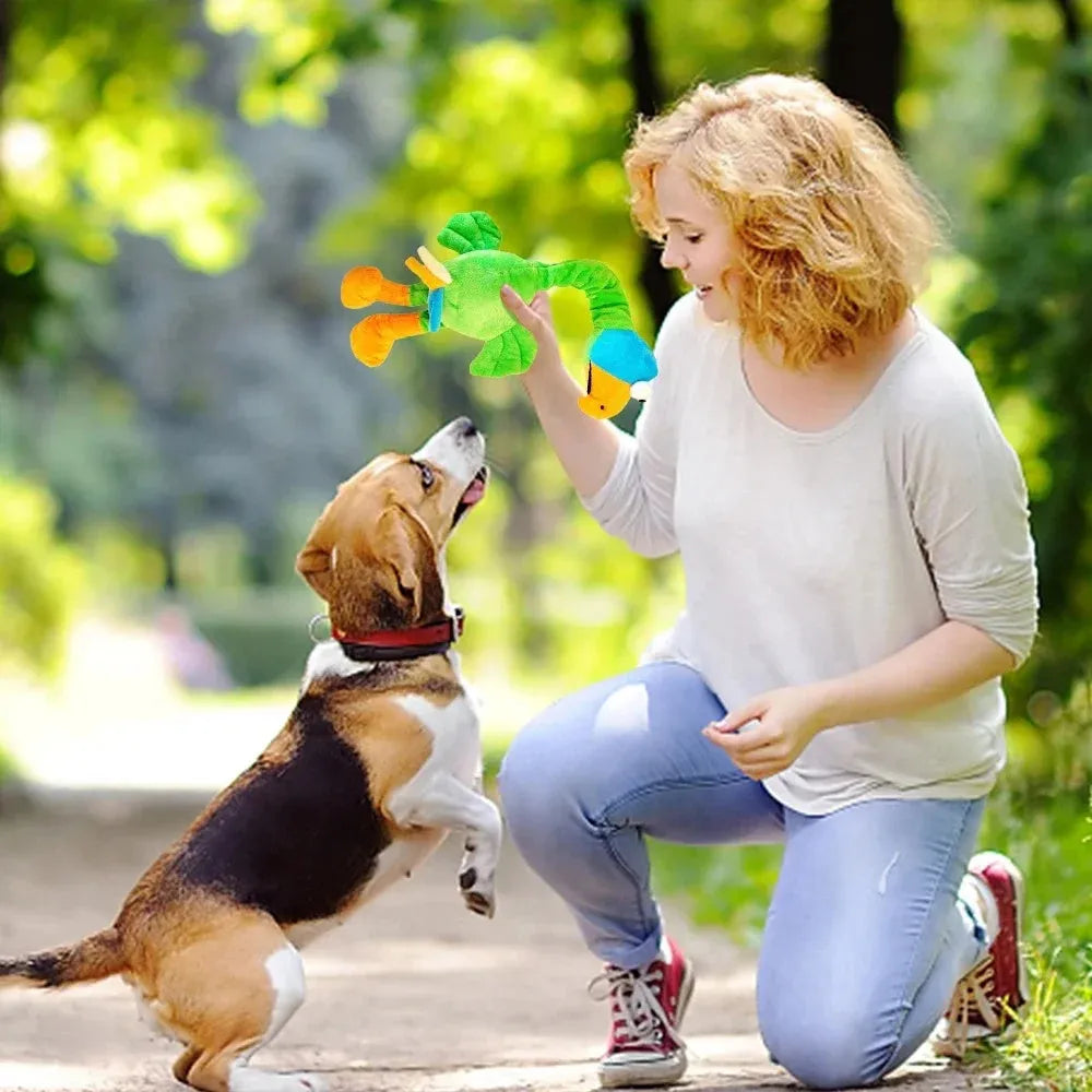 Screaming chicken sound dog toy in black, green, and orange colours with bite-resistant construction