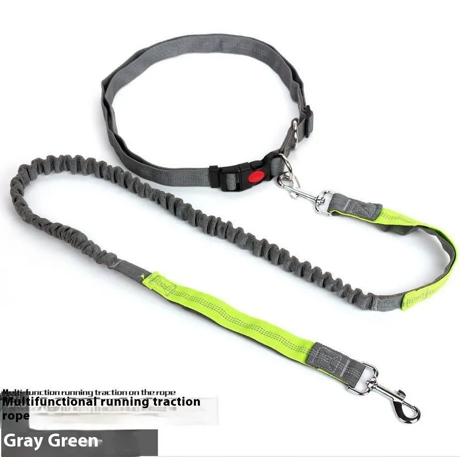 Outdoor dog leash with reflective elements in grey and blue colour combination
