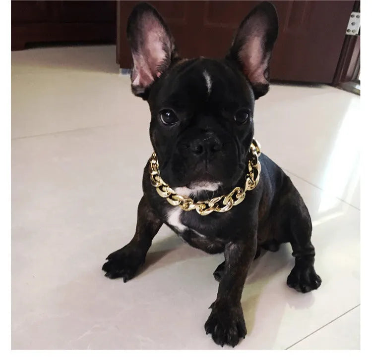 Adjustable metallic chain dog collar necklace for small medium dogs in gold, rose gold, or white.