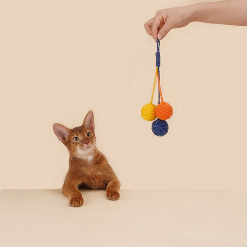 Multi-colour cat teaser wand set with bite-resistant catnip balls and feather attachments