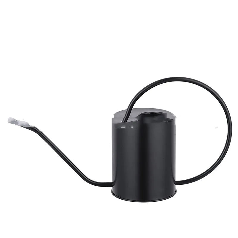 Stainless steel 2 litre watering can with long spout in choice of black, gold or natural finish