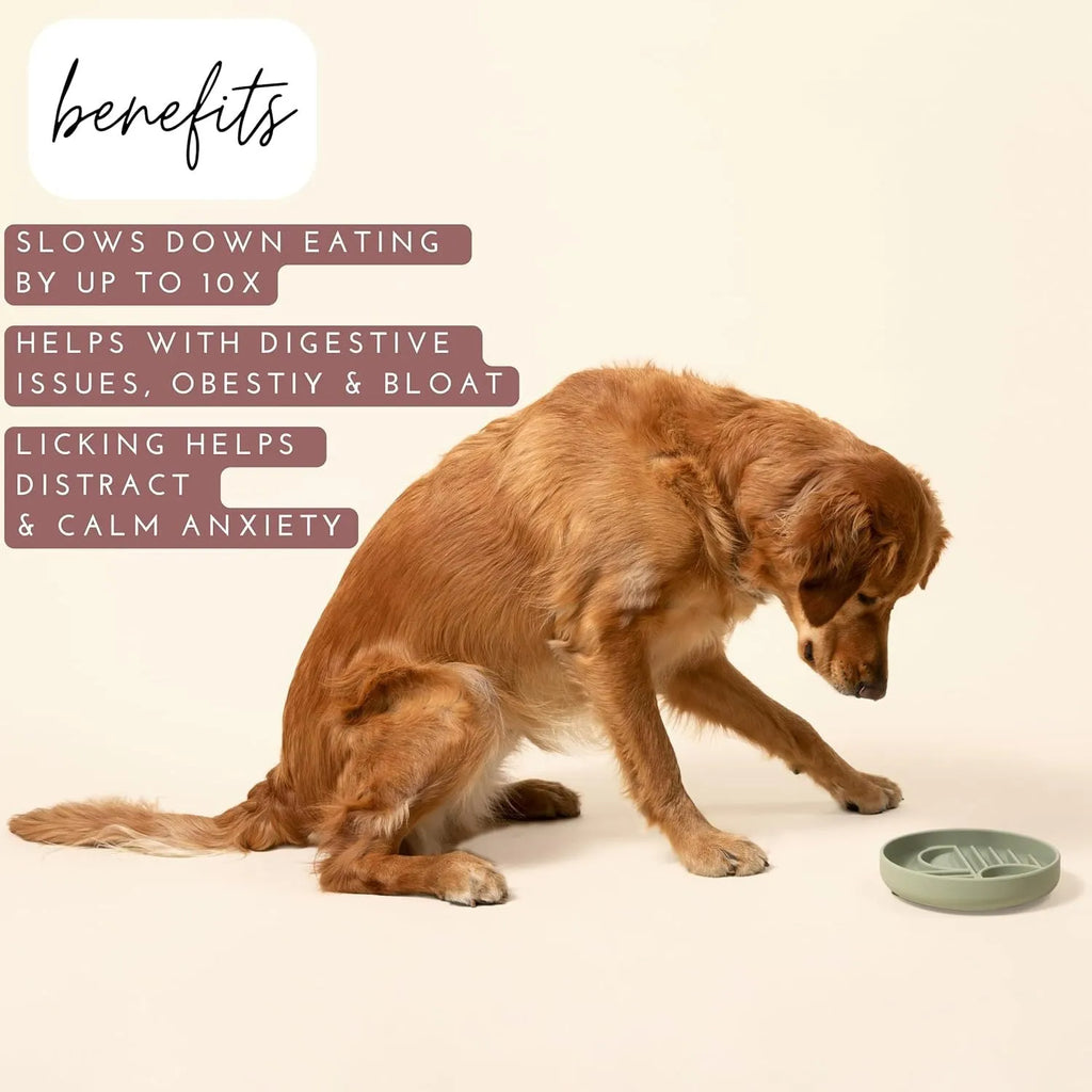 Silicone slow feeder dog bowl with textured ridges, shown in a choice of colours.