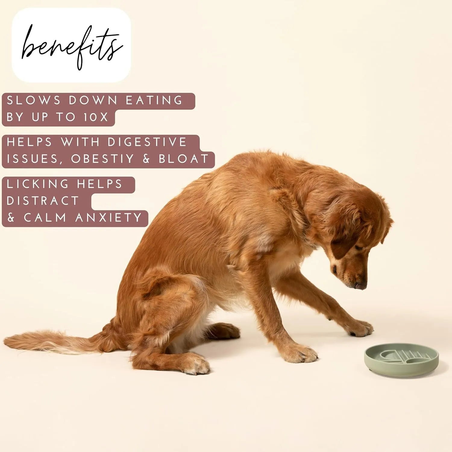 Silicone slow feeder dog bowl with textured ridges, shown in a choice of colours.