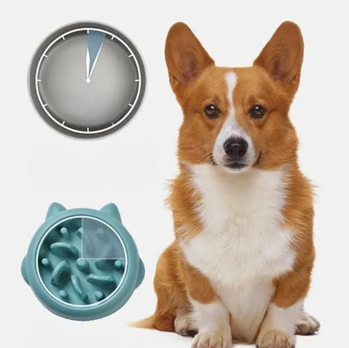Green plastic slow feeder dog bowl with raised bone-shaped ridges inside.