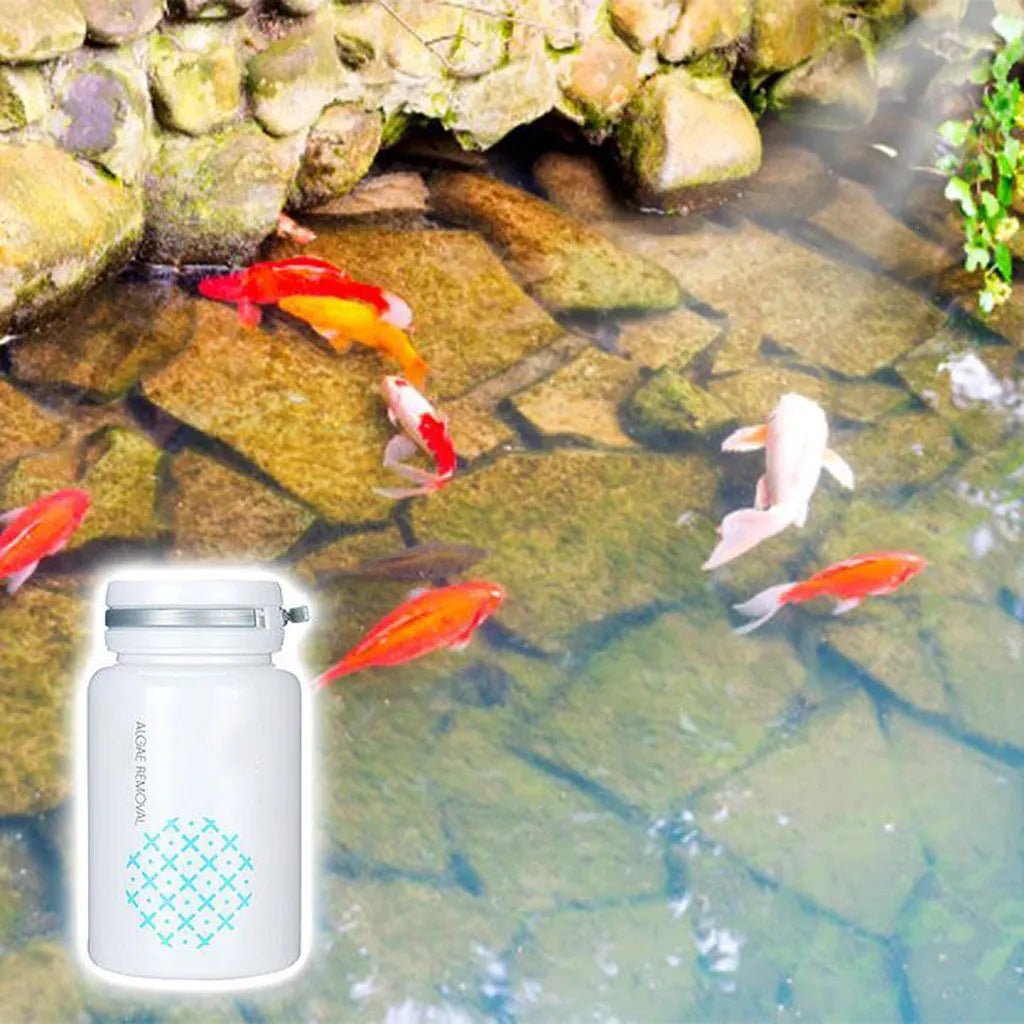 50g swimming pool algaecide treatment for algae and moss removal in aquatic environments