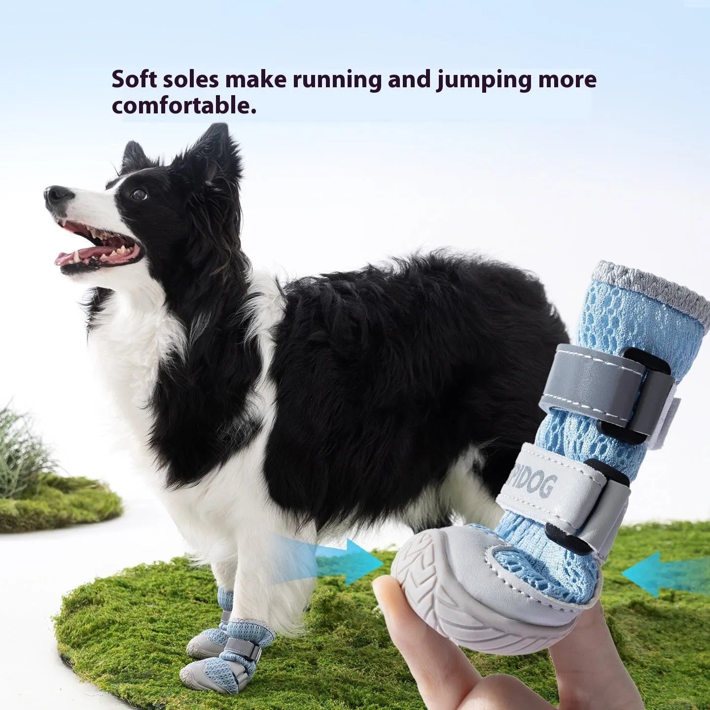 Cartoon style blue and green dog shoes for summer, showing breathable anti-scald design on a dog's paw.