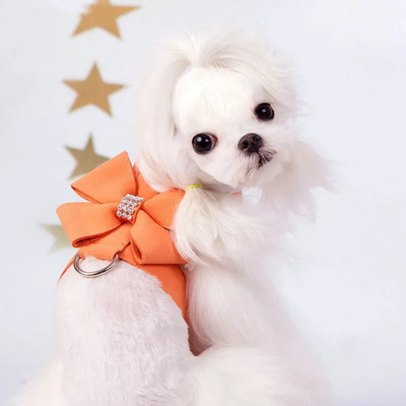 Dog harness with bowknot design in microfiber material showing pink, blue and orange colour options