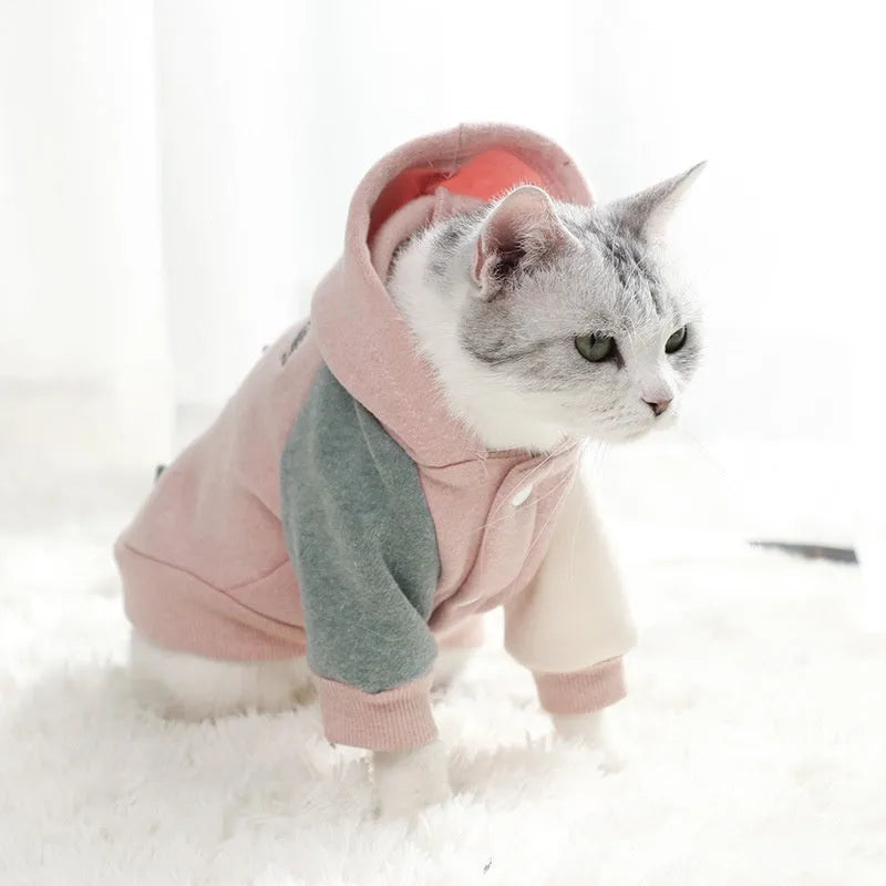 Brown cotton pet sweatshirt for dogs and cats, shown in size M.