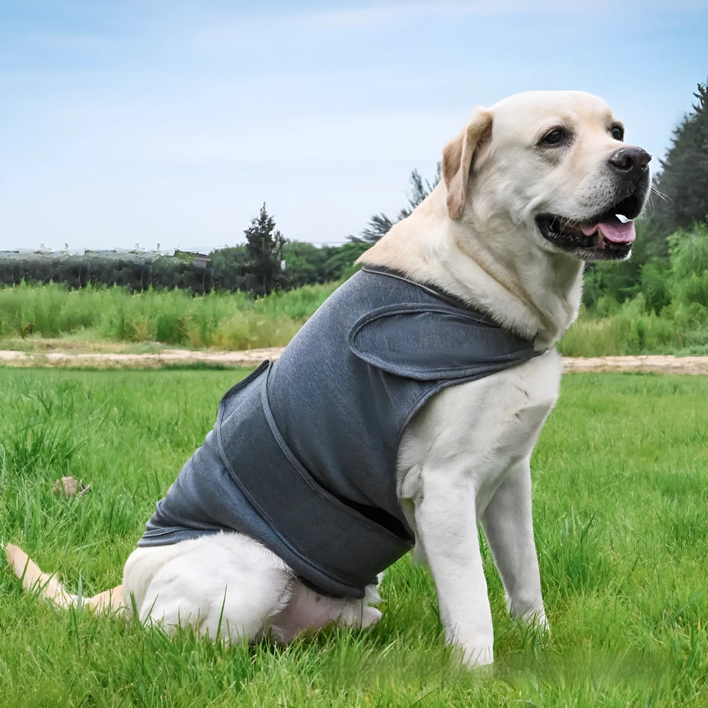 A dog wearing a brown brocade cotton Ponte-de-Roma tank top designed for anxiety relief.