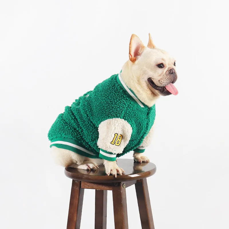 Green fleece-lined cotton winter coat for a large dog on a white background.