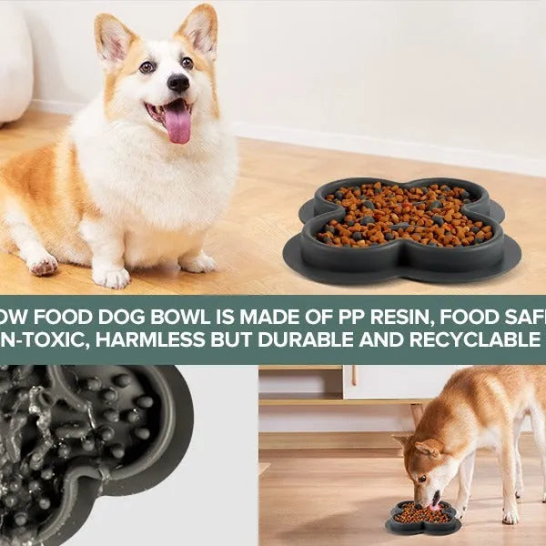 Silicone slow feeder licking pad for cats and dogs on a floor