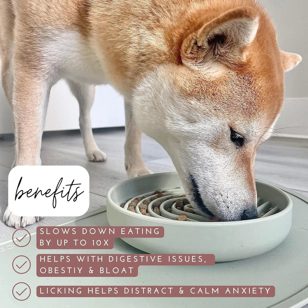 Silicone slow feeder dog bowl with textured ridges, shown in a choice of colours.