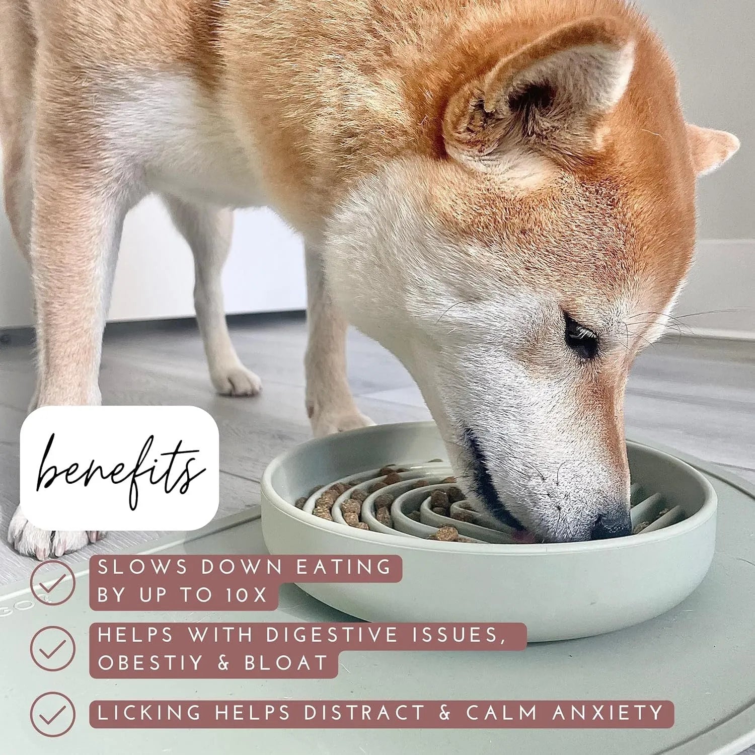 Silicone slow feeder dog bowl with textured ridges, shown in a choice of colours.