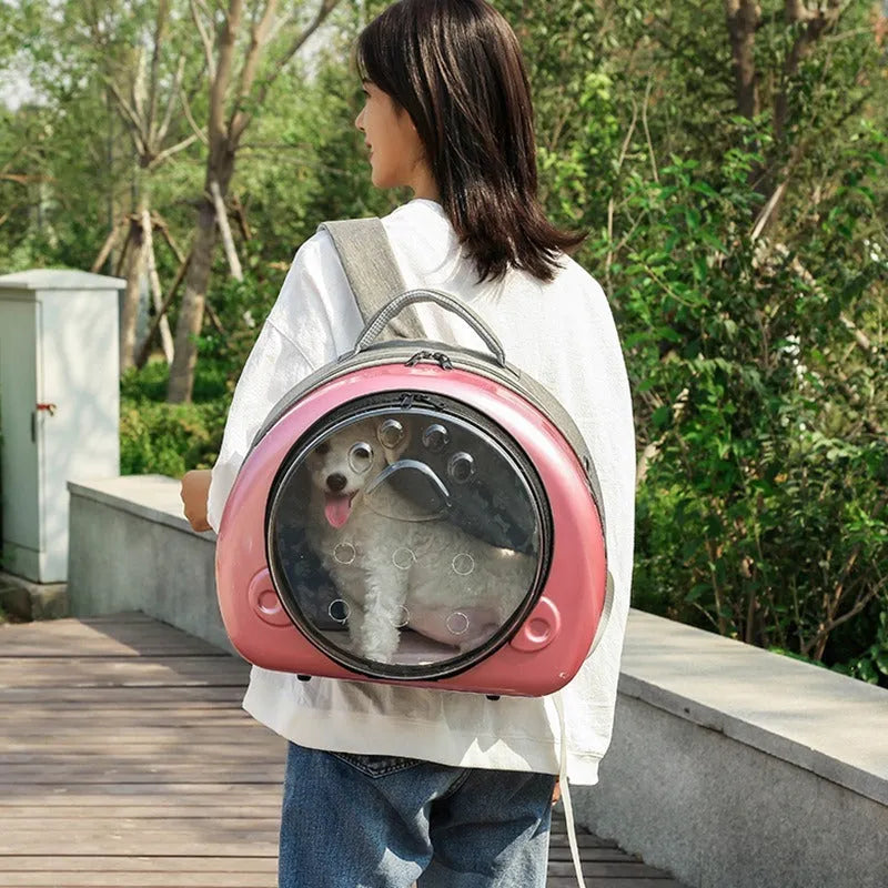 Transparent space capsule cat carrier bag in rose gold, silver, or champagne gold colour.