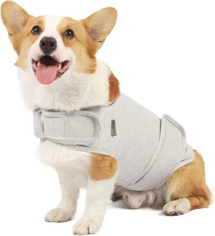 A dog wearing a brown brocade cotton Ponte-de-Roma tank top designed for anxiety relief.
