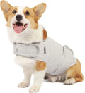 A dog wearing a brown brocade cotton Ponte-de-Roma tank top designed for anxiety relief.