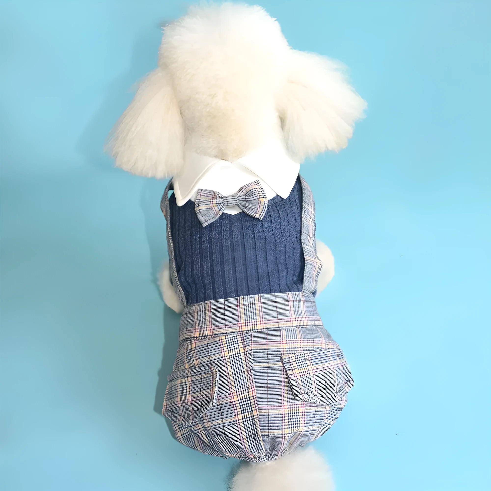 Orange and dark blue cotton dog shirt suit for small breeds with S-2XL size options
