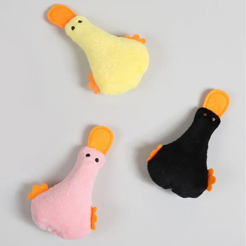 Plush duck pet toy with squeaker and catnip filling in four colour options