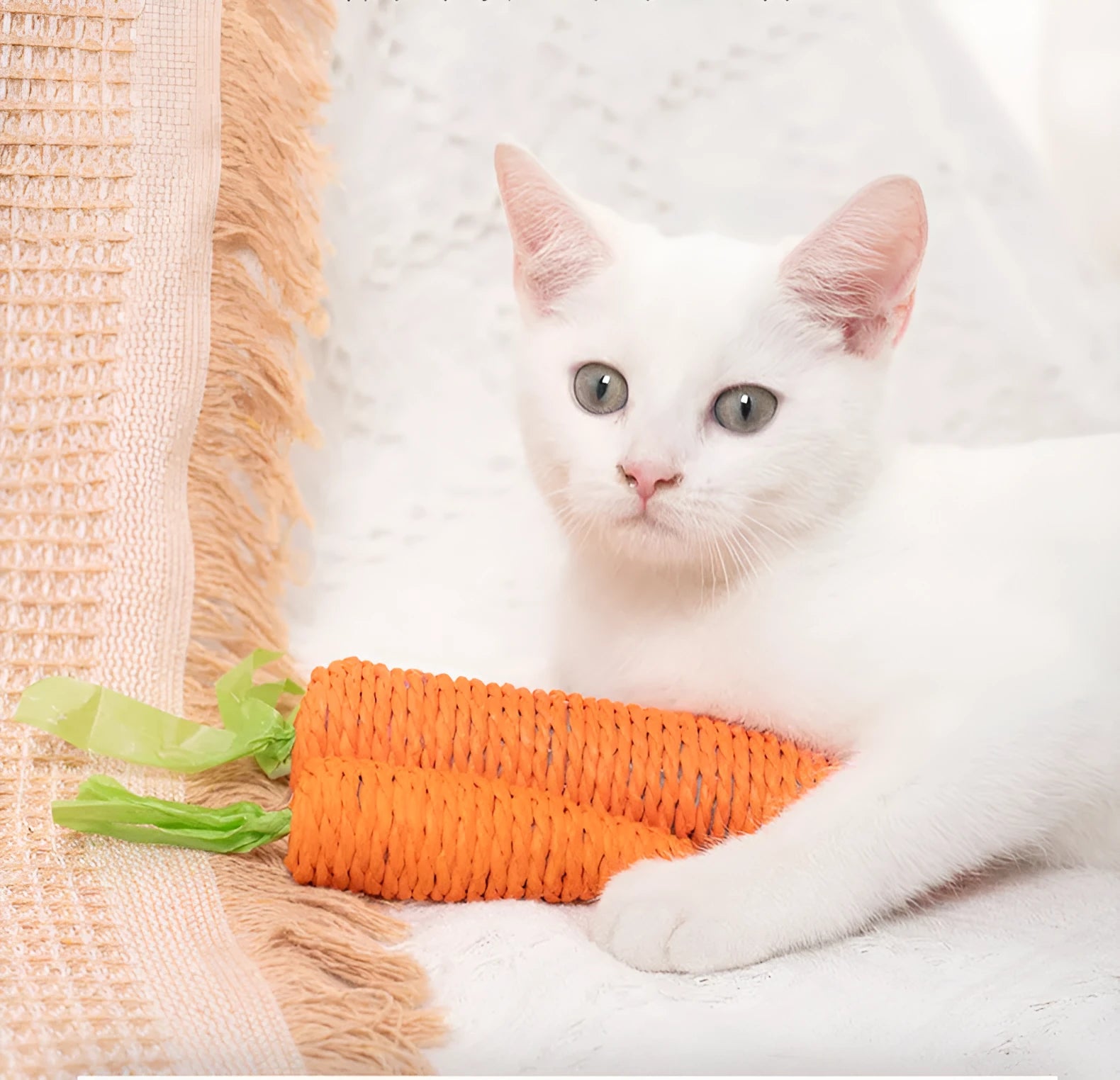 Assortment of interactive cat toys including carrot bites, paper toys, ringing stones, and dental sticks in two sizes