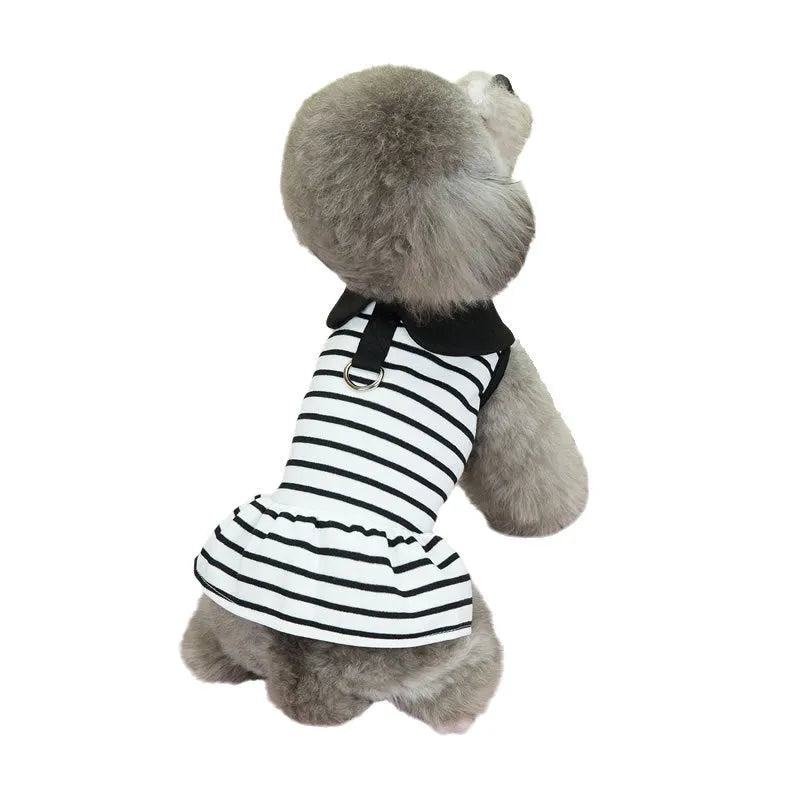 Pet summer stripes cotton T-shirt and skirt clothing set with coordinated pattern