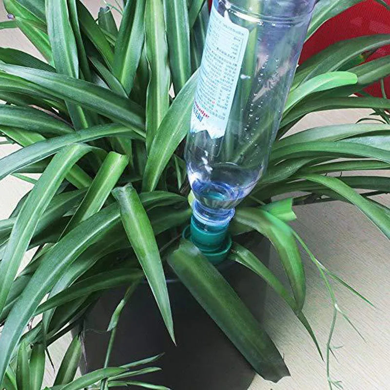 Green ceramic plant watering dripper device for automatic irrigation with cola bottle