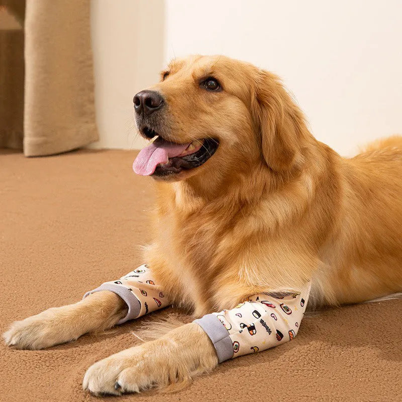 Blue adjustable dog elbow protector sleeve with padded patch and matching scarf on a large dog's front leg.