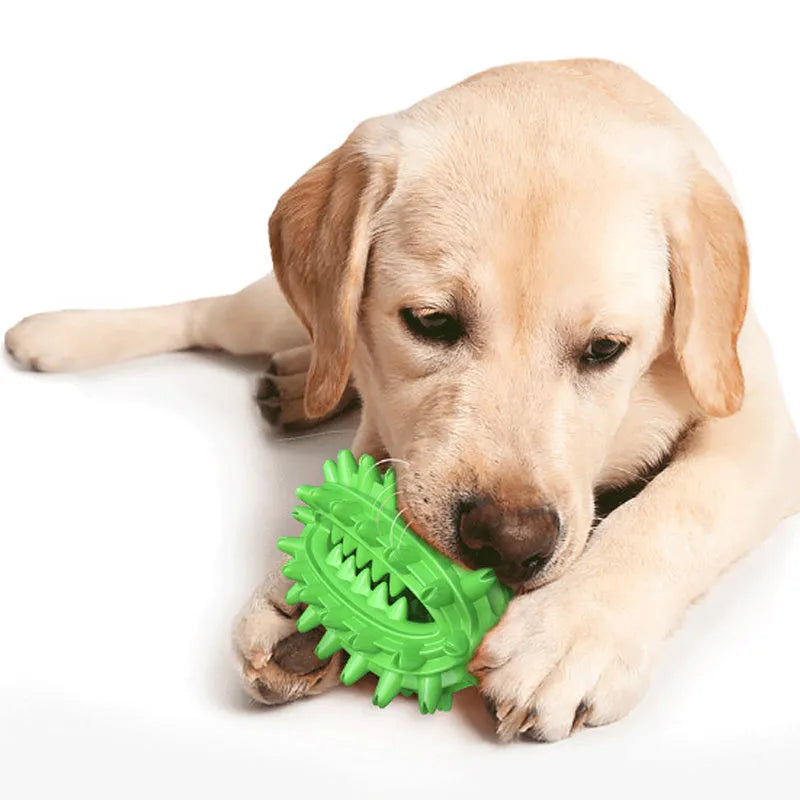 Green cactus-shaped dog chew toy with textured bumps and a central treat channel