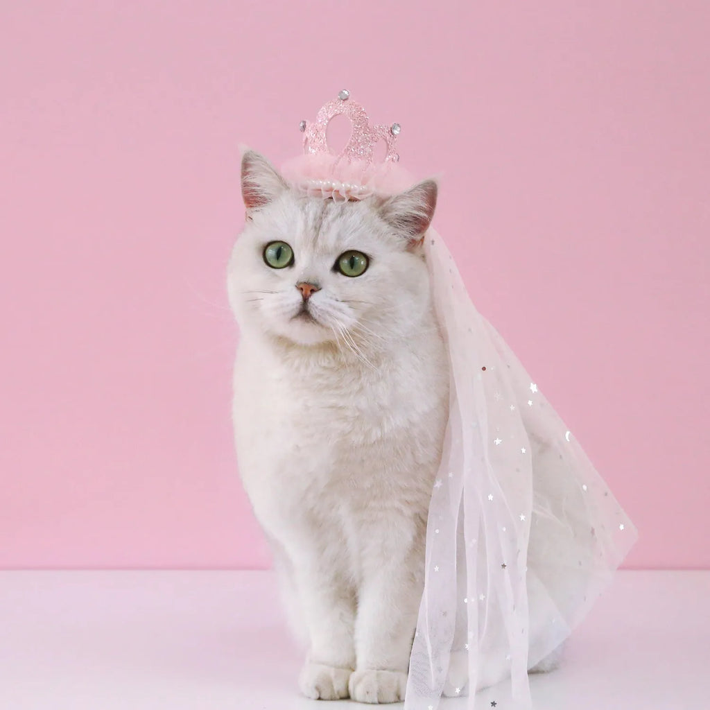 Beige or pink cotton polyester princess crown and veil headdress for cats and small dogs
