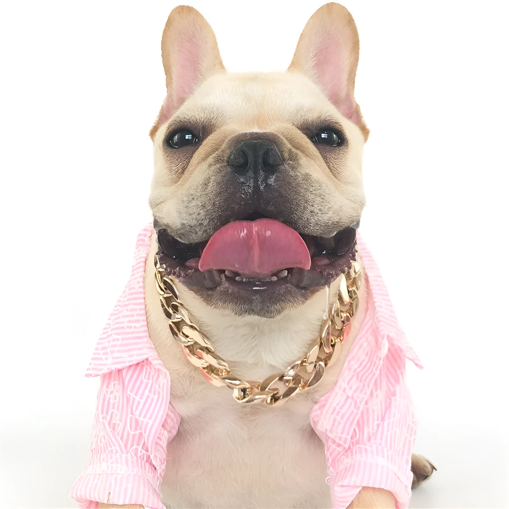 Adjustable metallic chain dog collar necklace for small medium dogs in gold, rose gold, or white.