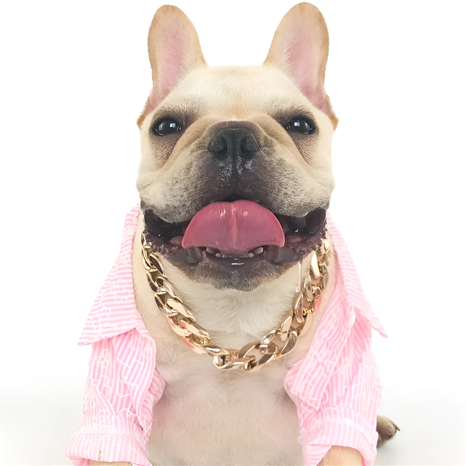 Adjustable metallic chain dog collar necklace for small medium dogs in gold, rose gold, or white.