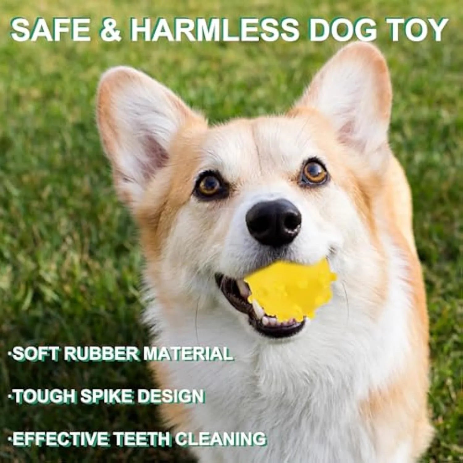 Bright coloured spiked dog ball toy with squeaker for small dogs on grass