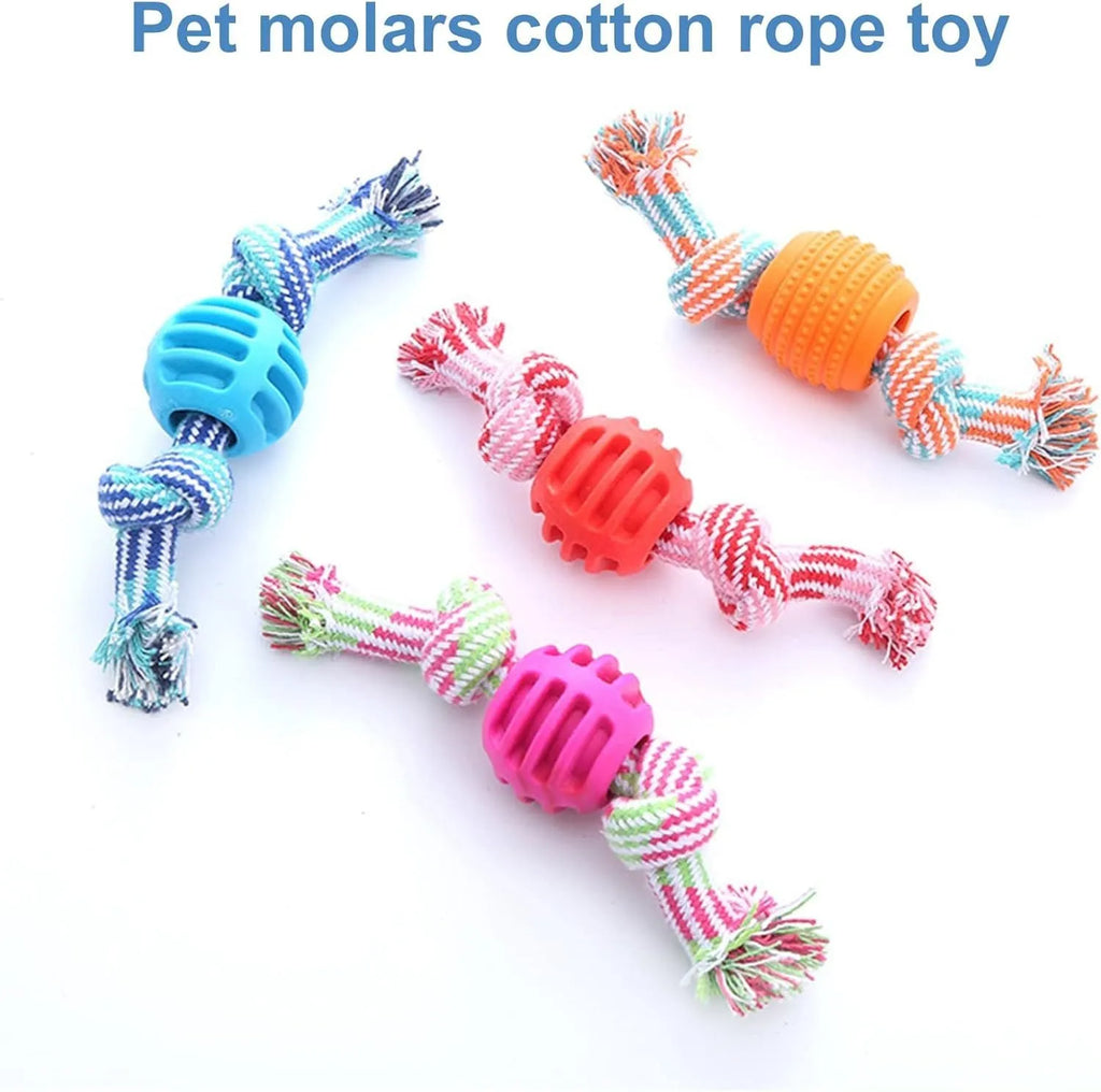 Dog chew toy with rope elements and molar design for teeth cleaning