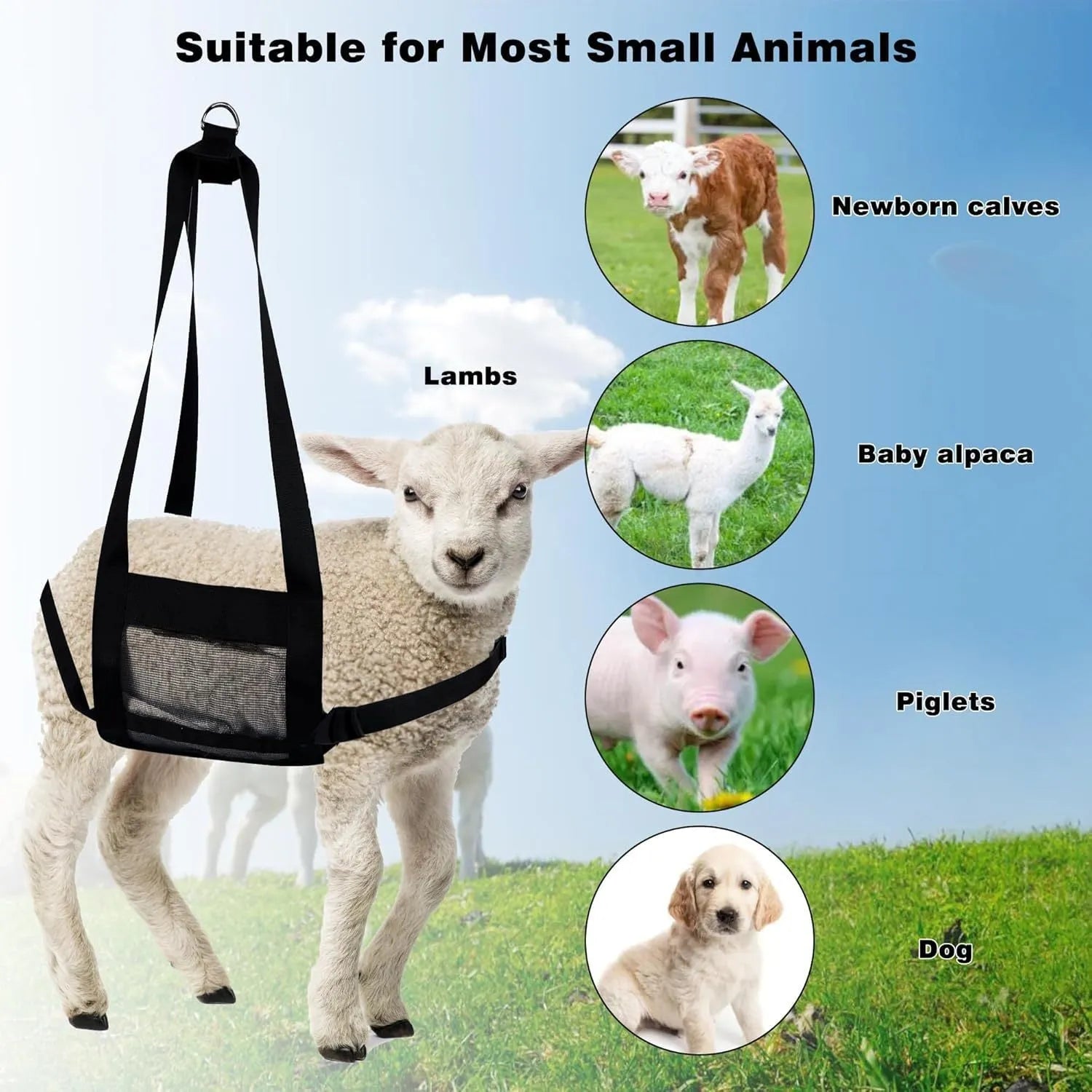 Black livestock weighing sling measuring 35x150cm for small animal weight measurement