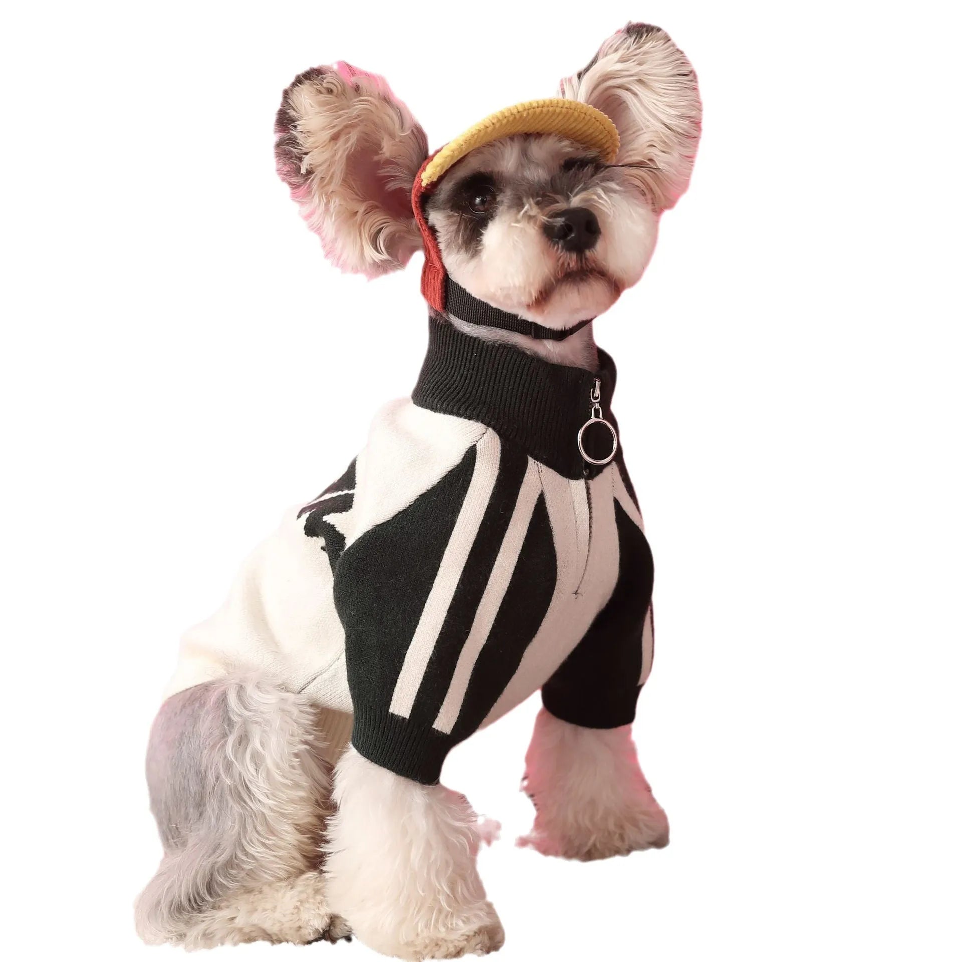Red wool-blend sports cardigan sweater for dogs on mannequin showing menswear styling
