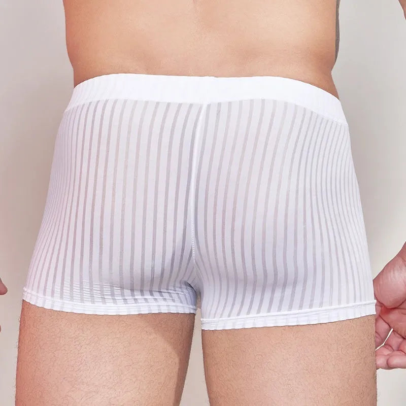 Men's striped nylon underwear briefs in black, dark grey, and white colours