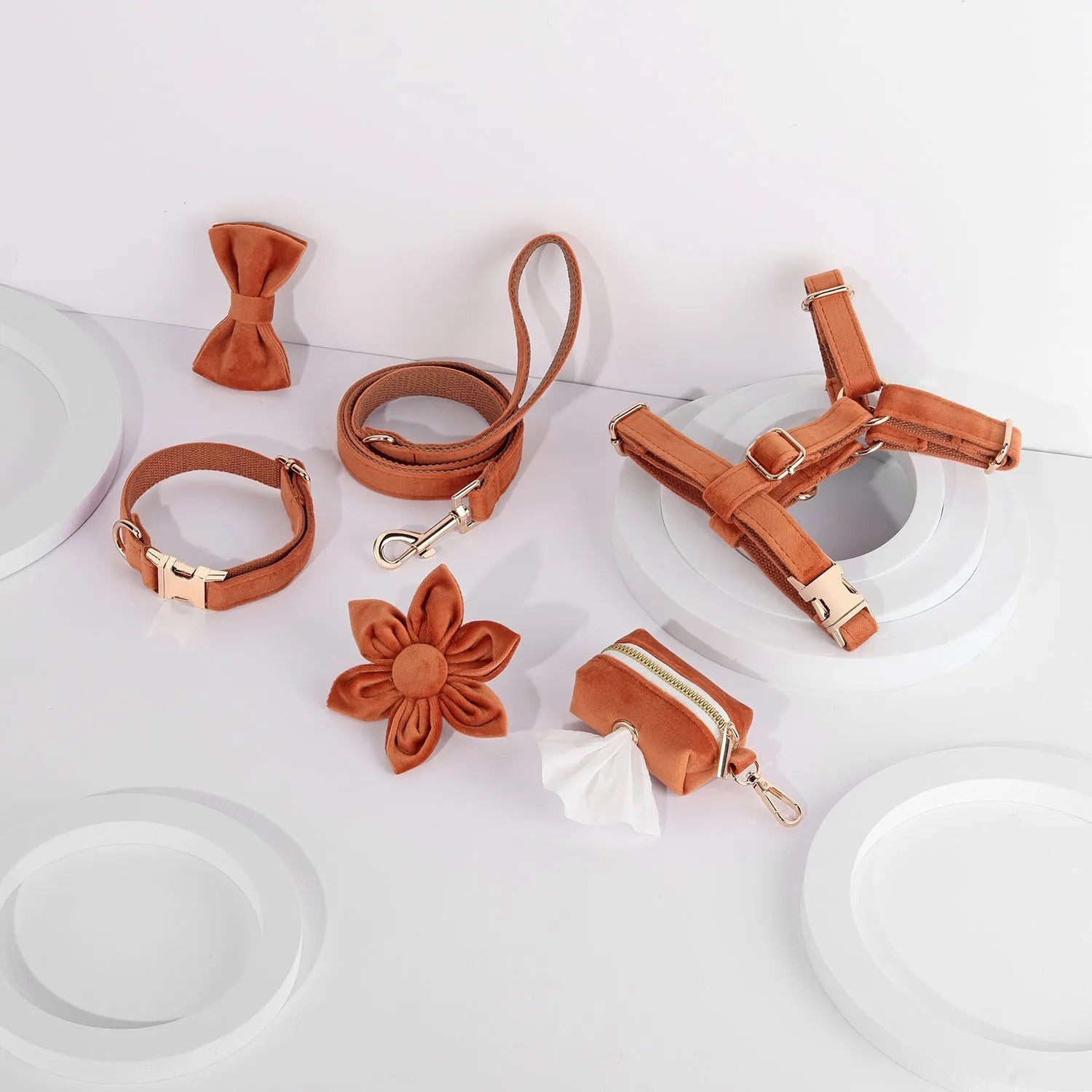 Velvet dog collar and harness set with matching bow tie and flower accessory