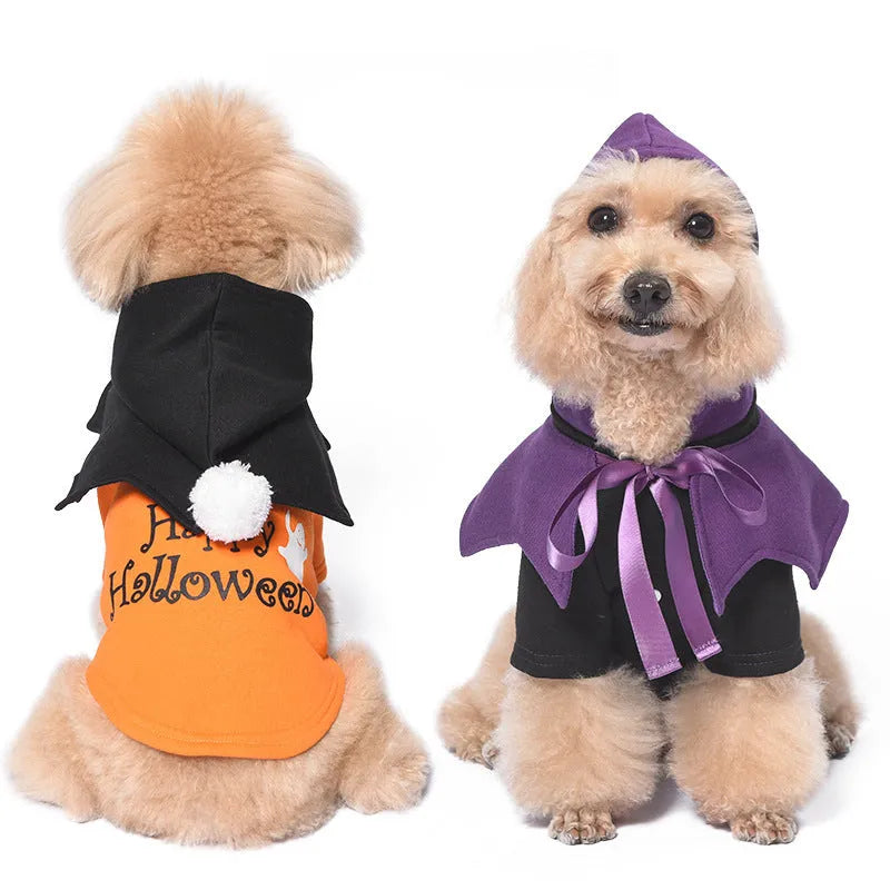 Black and orange Halloween dog costume with striped sweater and pumpkin face shawl