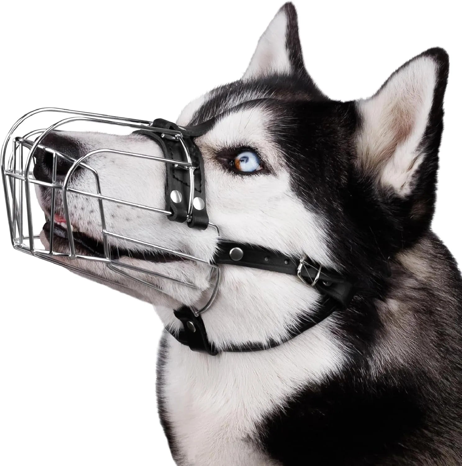 Black metal wire basket muzzle for Golden Retriever and German Shepherd dogs