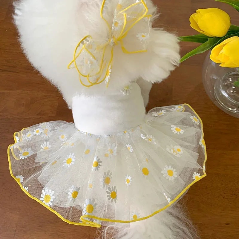 Yellow daisy pattern thin polyester dog clothes on a pet, showing summer apparel fit.
