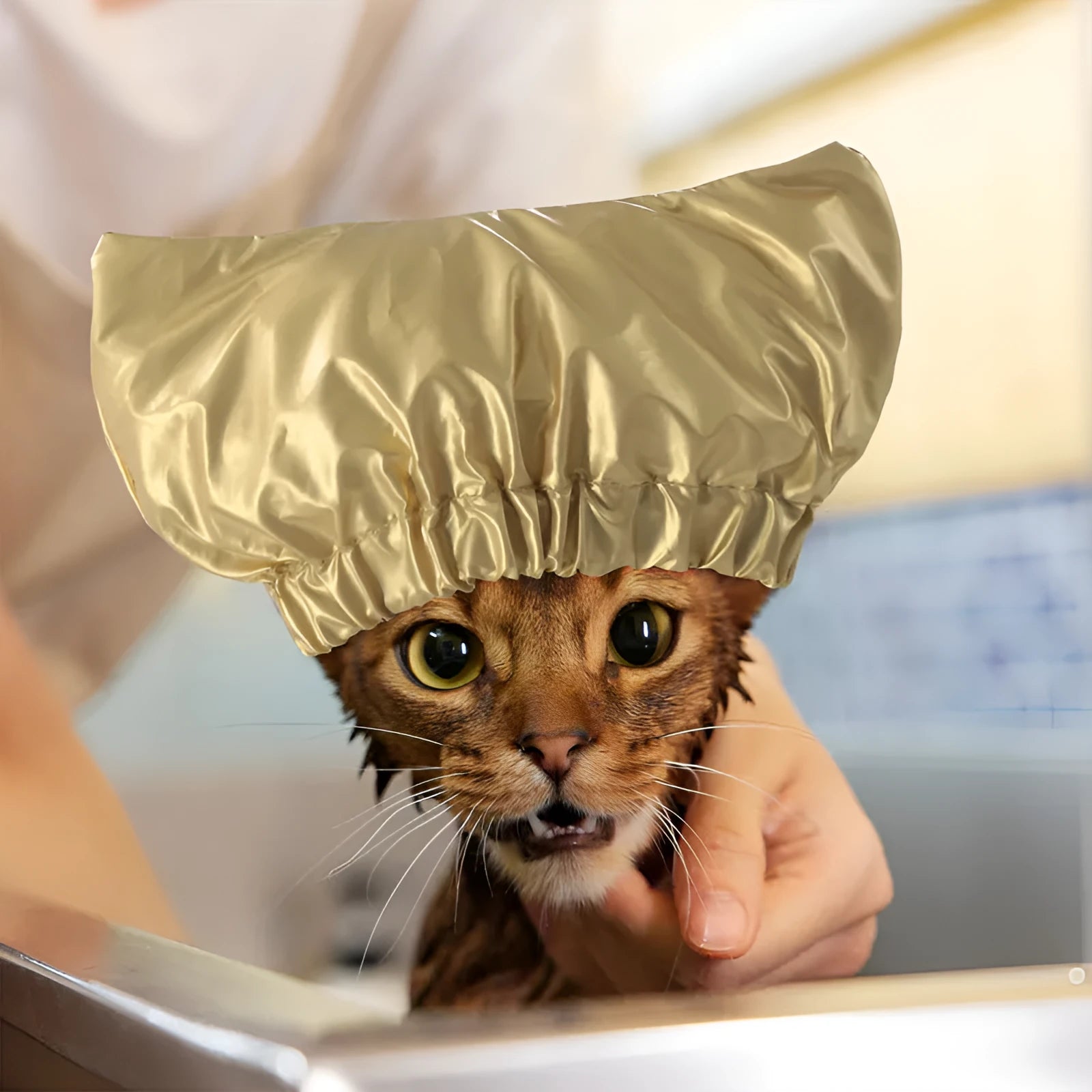 Adjustable waterproof shower cap for dogs or cats in silver colour.