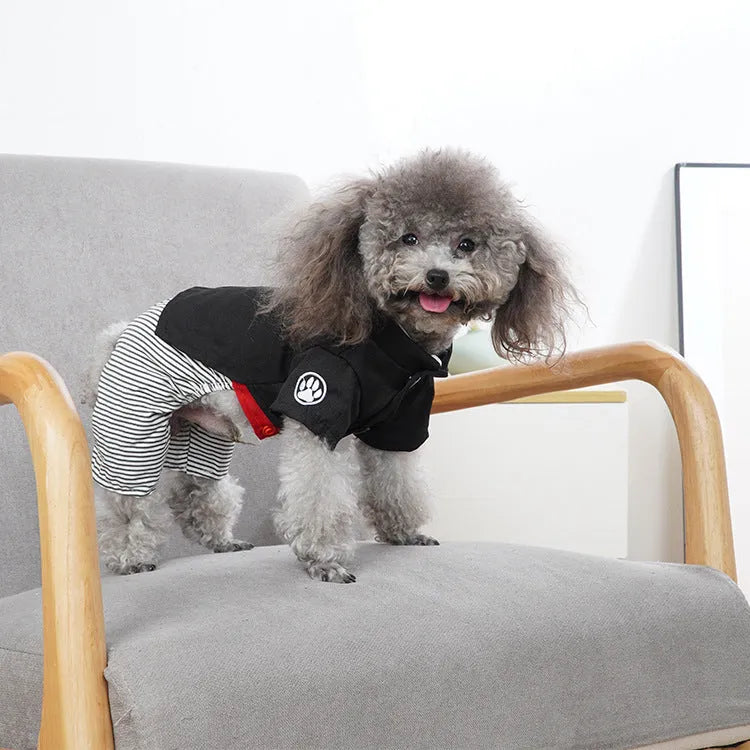 Cotton poodle dog clothes shown in skirt and four-legged pants styles for small breeds.